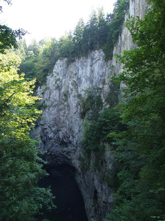 Techov *