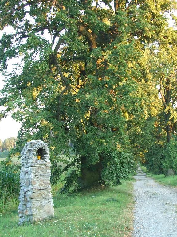 Techov *